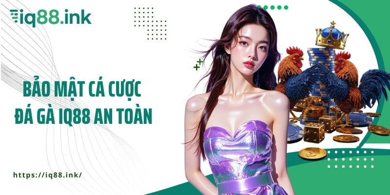 Bảo mật cá cược đá gà IQ88 an toàn