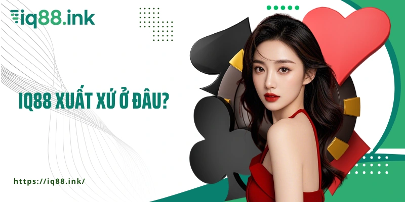 IQ88 xuất xứ ở đâu?